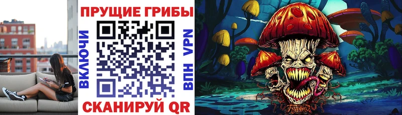 МЕГА маркетплейс  Кирсанов  Галлюциногенные грибы ЛСД  наркота 